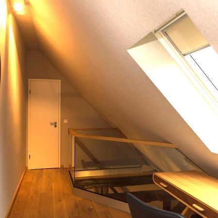 צוויקאו Apartmenthaus Am Dom Junior Suite Mit Parkplatz מראה חיצוני תמונה
